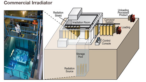 Photo of Commercial Irradiator and accompanying artist's rendering of Commercial Irradiator layout with the words: Commercial Wet-Source-Storage Irradiator. The sealed source is stored in water and raised into the air to irradiate a product that may be moved into the room on a conveyor system. This is an example of a panoramic wet-source-irradiator. Photo courtesy of Nordion.
